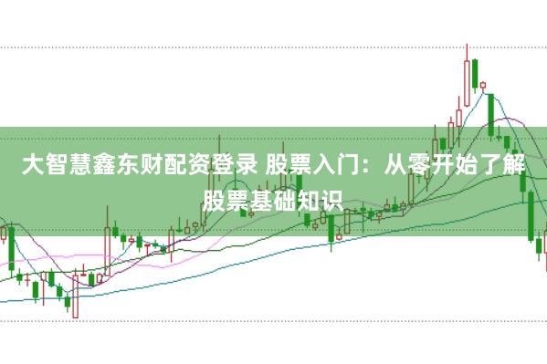 大智慧鑫东财配资登录 股票入门：从零开始了解股票基础知识