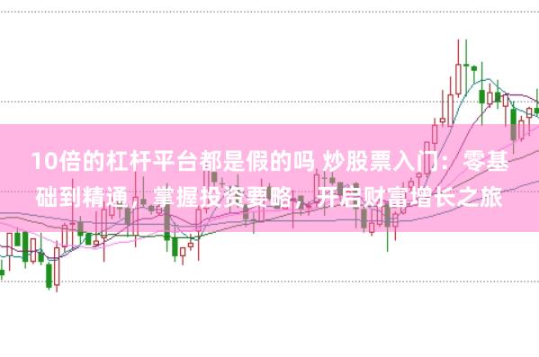 10倍的杠杆平台都是假的吗 炒股票入门：零基础到精通，掌握投资要略，开启财富增长之旅