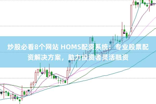 炒股必看8个网站 HOMS配资系统：专业股票配资解决方案，助力投资者灵活融资
